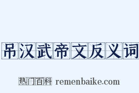 吊汉武帝文反义词是什么意思的图片
